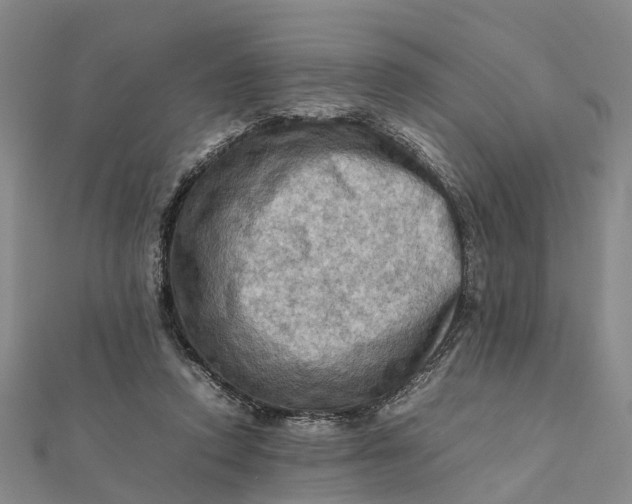X0000112090354200908251132
