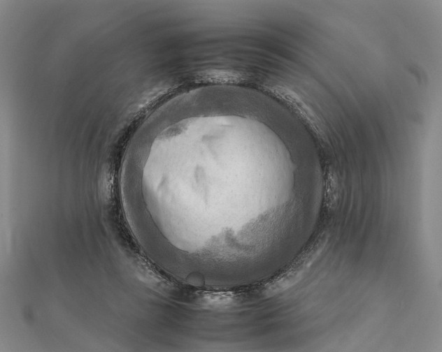 X0000112090355200908251132