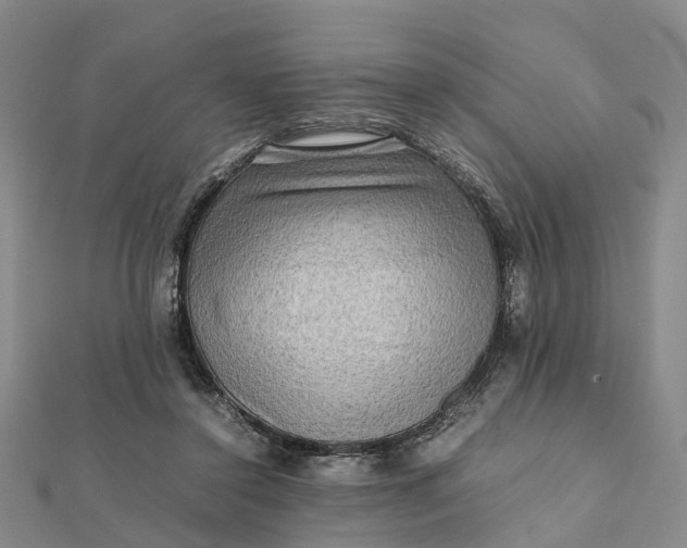 X0000112090356200908251132