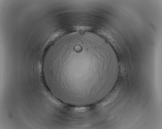 X0000112090357200908251132