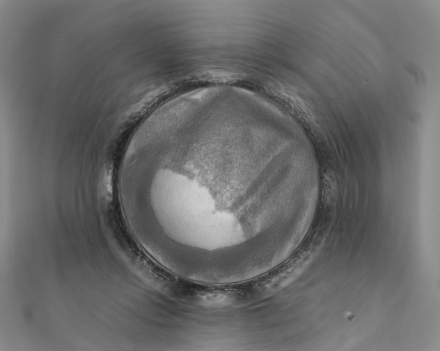 X0000112090358200908251132