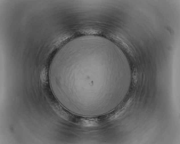 X0000112090359200908251132