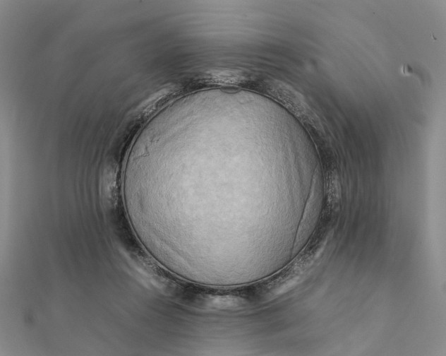 X0000112090360200908251132