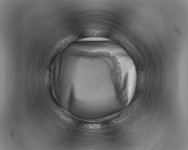 X0000112090361200908251132