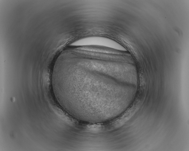 X0000112090362200908251132