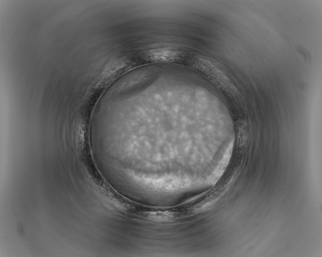 X0000112090363200908251132