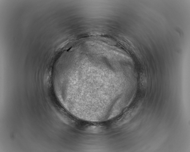 X0000112090364200908251132