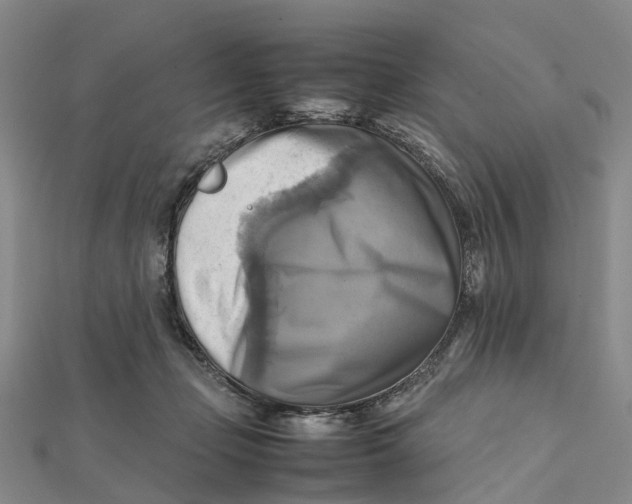 X0000112090365200908251132