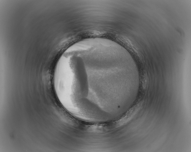 X0000112090366200908251132