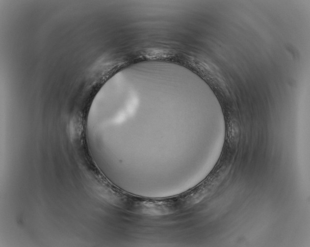 X0000112090367200908251132