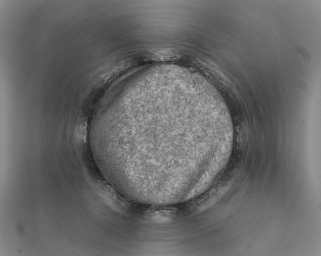 X0000112090368200908251132