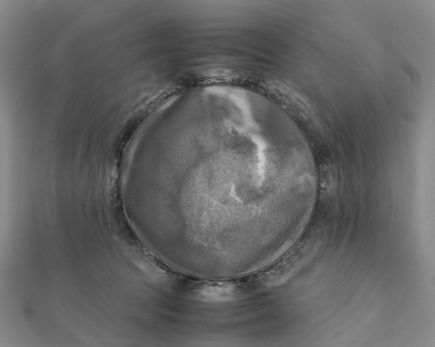 X0000112090369200908251132