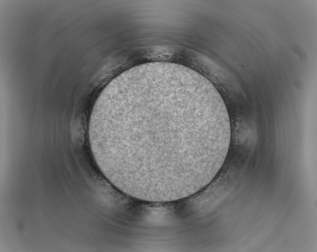 X0000112090370200908251132