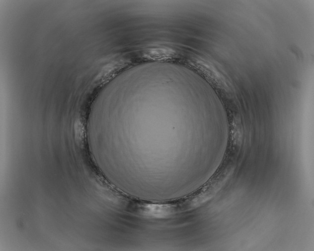 X0000112090371200908251132