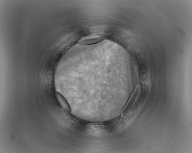 X0000112090372200908251132