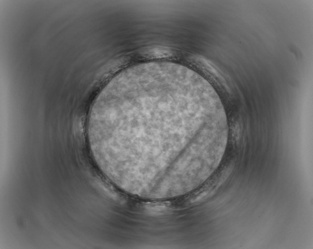X0000112090373200908251132