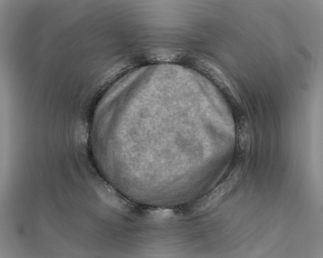X0000112090374200908251132