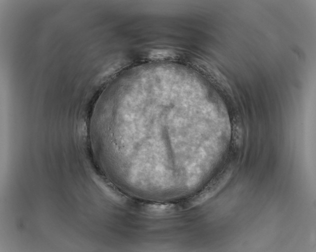 X0000112090375200908251132