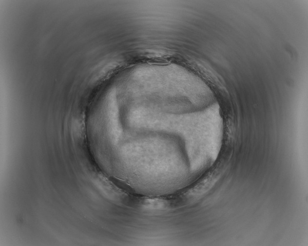 X0000112090376200908251132