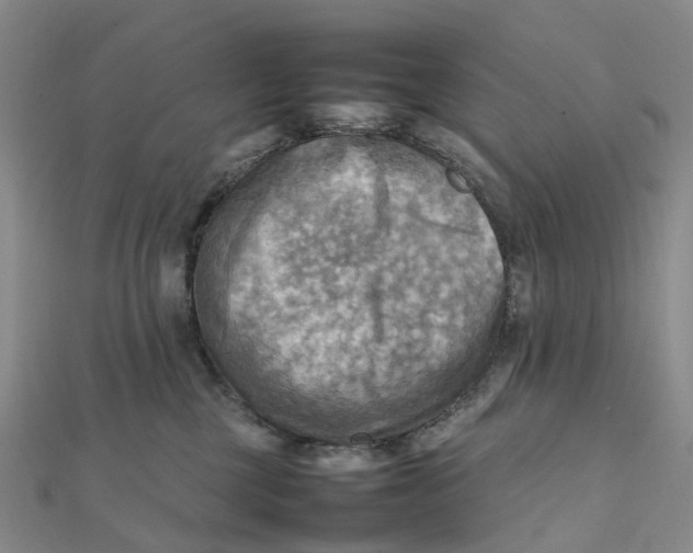 X0000112090377200908251132
