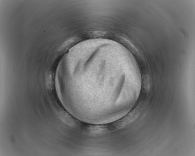 X0000112090378200908251132