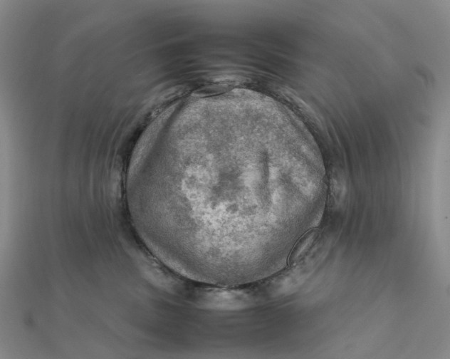 X0000112090379200908251132