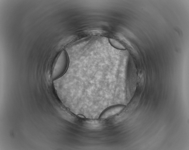 X0000112090381200908251132