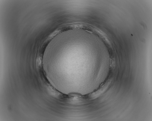 X0000112090382200908251132