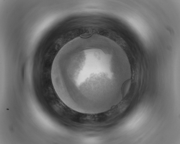 X0000112090383200908251132