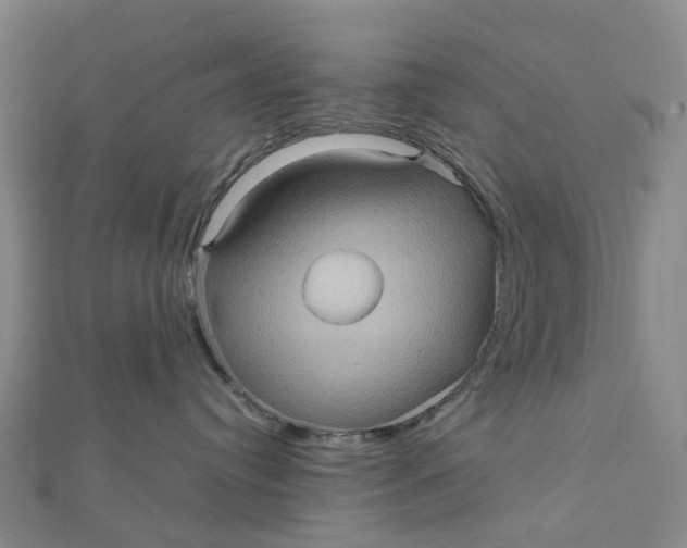 X0000112090384200908251132