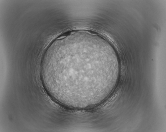 X0000112090385200908251132