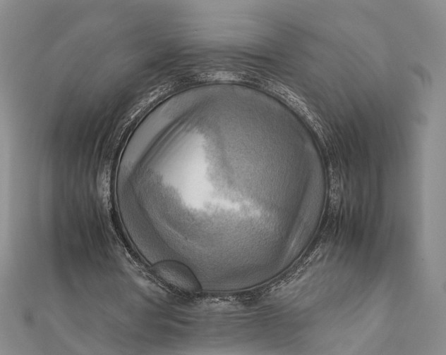 X0000112090386200908251132