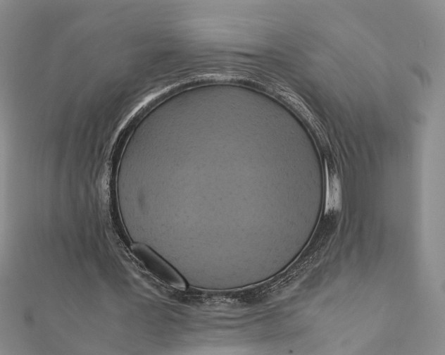 X0000112090387200908251132