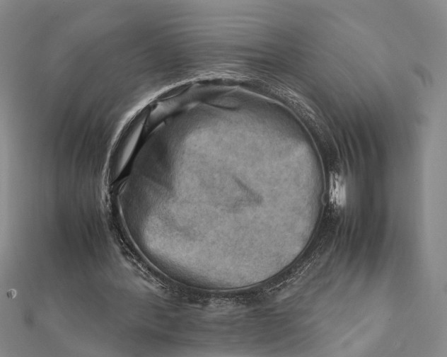 X0000112090388200908251132
