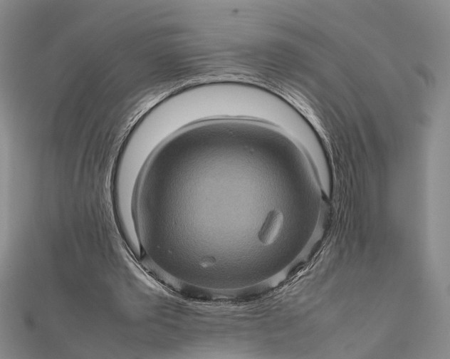 X0000112090389200908251132