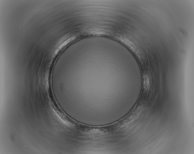 X0000112090390200908251132