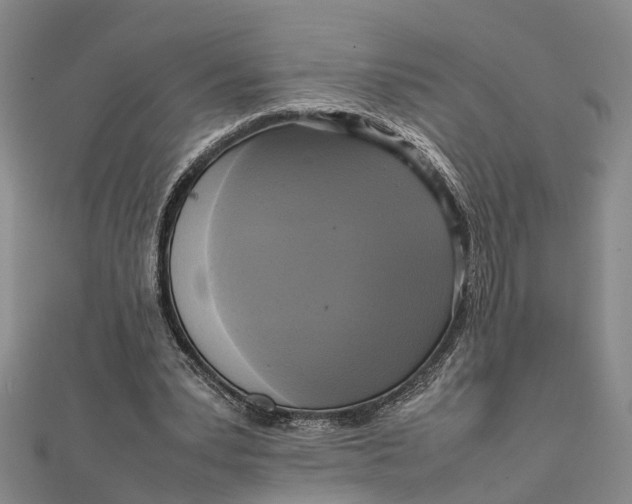 X0000112090391200908251132