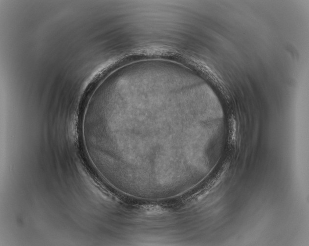 X0000112090392200908251132