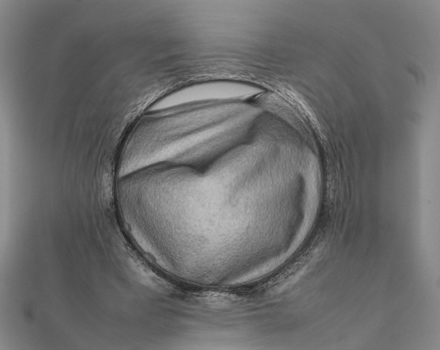 X0000112090393200908251132