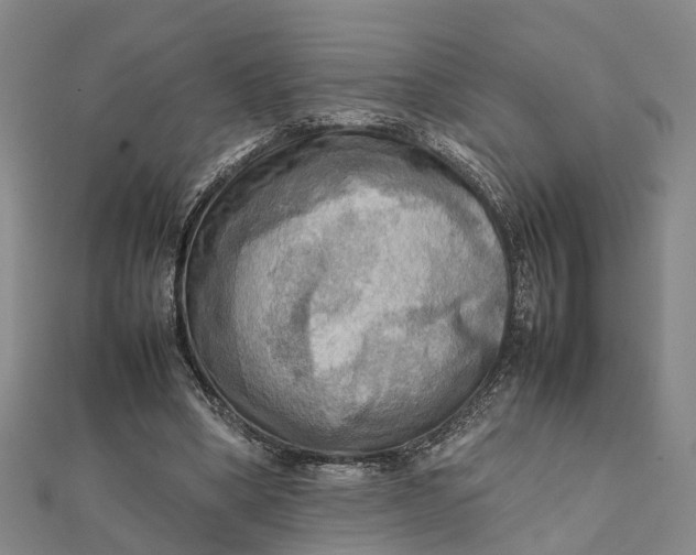 X0000112090394200908251132