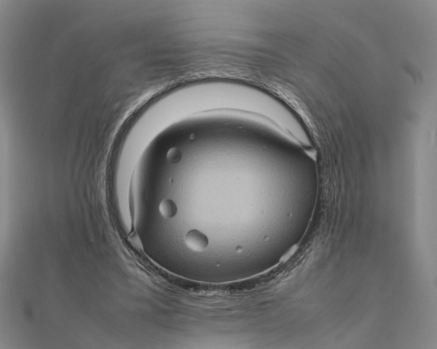 X0000112090395200908251132