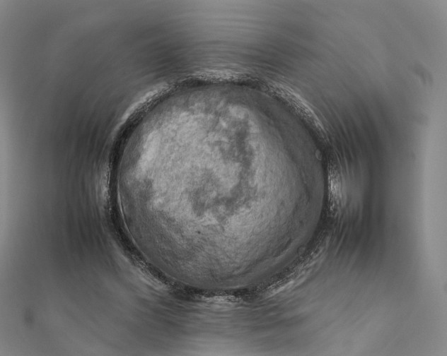X0000112090396200908251132