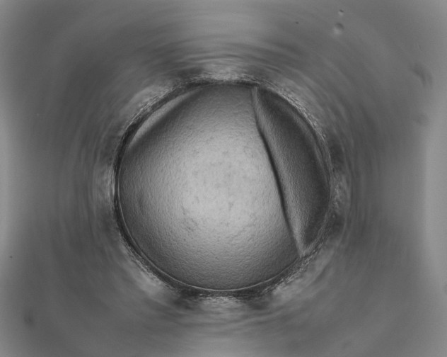 X0000112090397200908251132