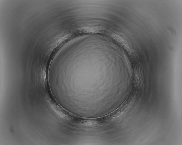 X0000112090398200908251132
