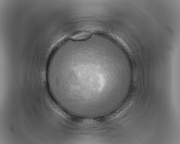 X0000112090399200908251132