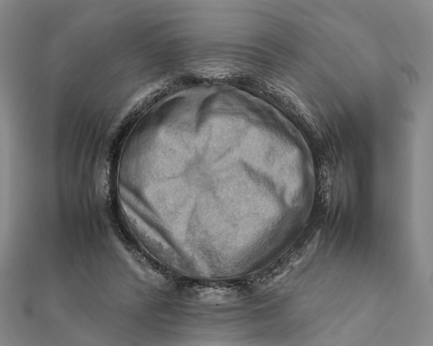 X0000112090400200908251132
