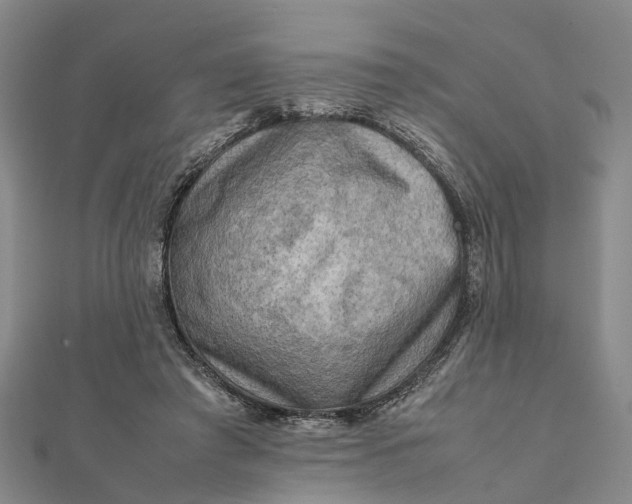 X0000112090401200908251132