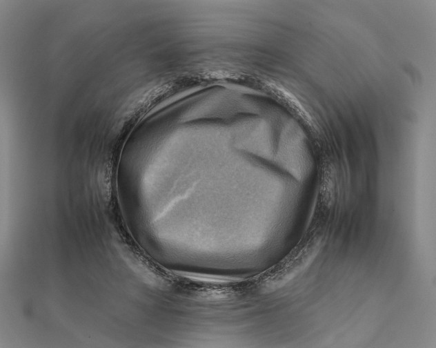 X0000112090402200908251132