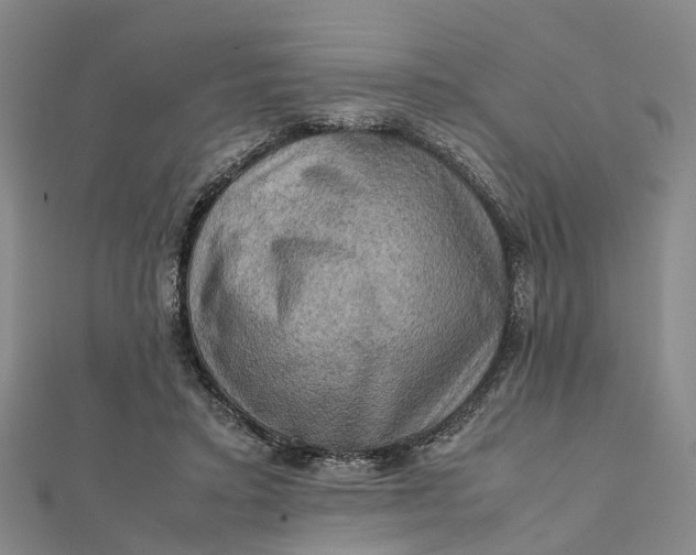 X0000112090403200908251132