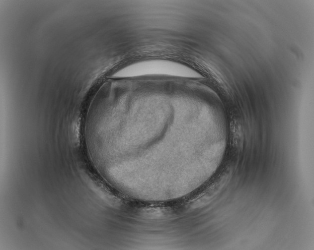 X0000112090404200908251132